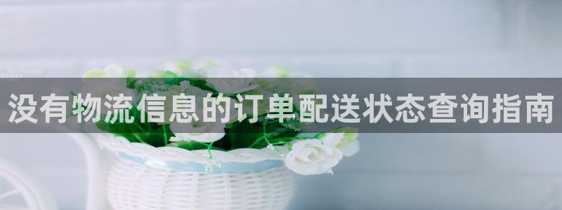 28圈如何看012路计划：没有物流信息的订单配送状态查询指南