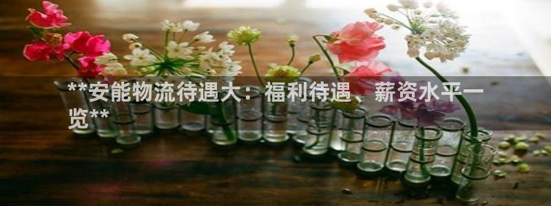 28圈女王中奖记录查询：**安能物流