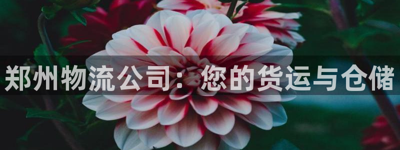 28圈软件堵什么反什么：郑州物流公司