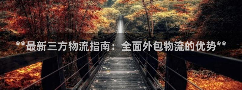 28圈正规吗：**最新三方物流指南：