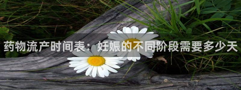 28圈充值金额随便：药物流产时间表：