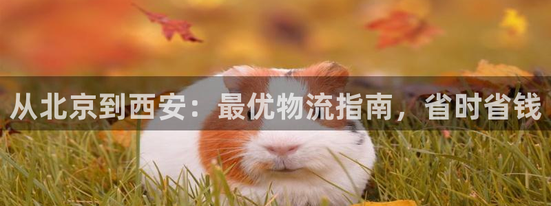28圈预测：从北京到西安：最优物流指