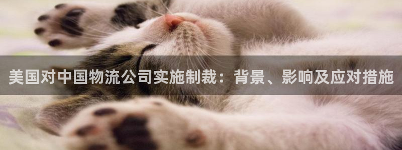 28圈链接是什么：美国对中国物流公司