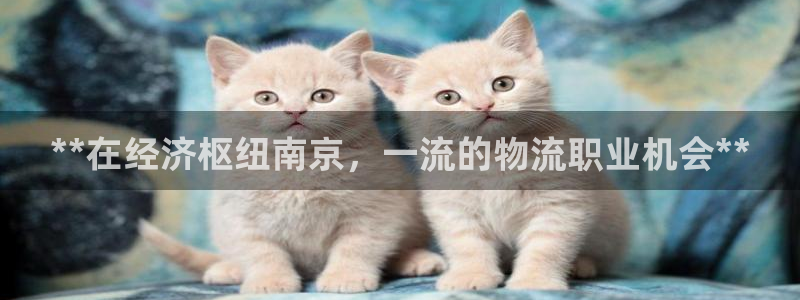 28圈取保：**在经济枢纽南京，一流