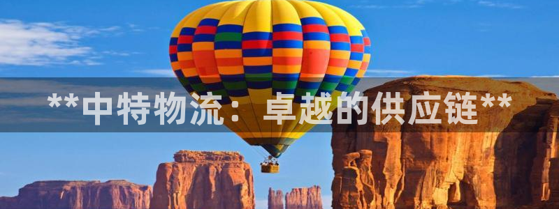 28圈百度百科：**中特物流：卓越的