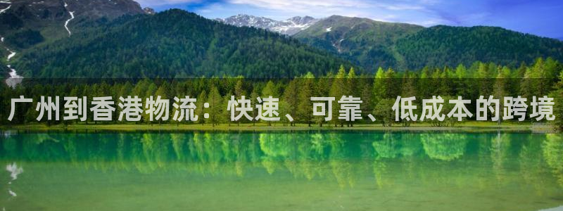 28圈官网开奖结果预测查询