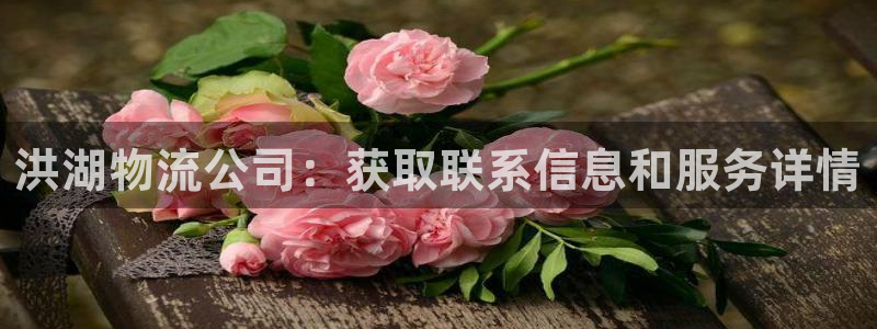 28圈代理落网：洪湖物流公司：获取联
