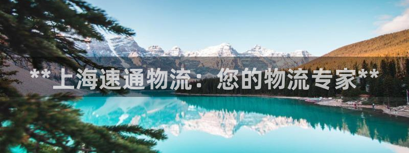 28圈pg麻将胡了：**上海速通物流