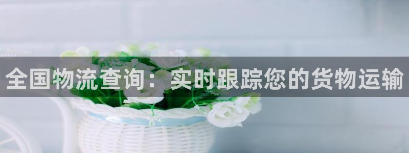 28圈女王中奖记录查询：全国物流查询