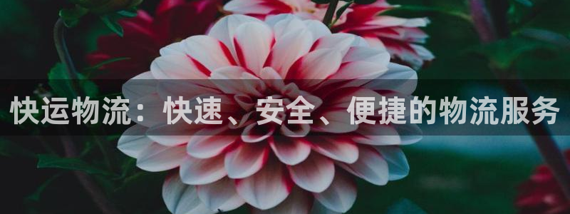 28圈和南宫28什么关系：快运物流：