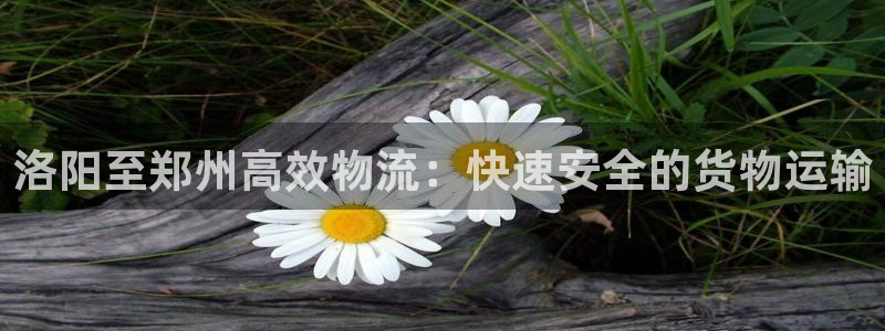 28圈注册网页：洛阳至郑州高效物流：