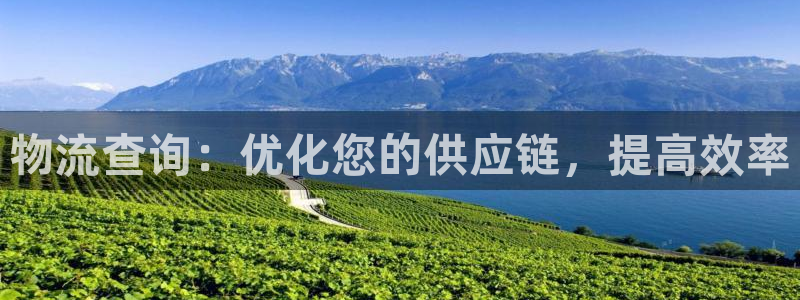 28圈娱乐官网网页下载：物流查询：优