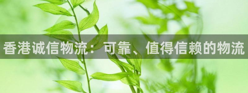 28圈加拿大模拟器