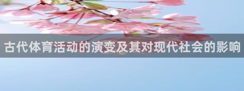 3377体育在线