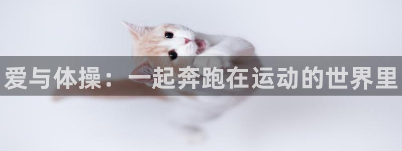3377体育官方app下载：爱与体操：一起奔跑在运动的世界里