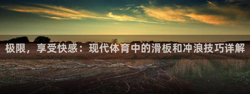 3377体育中国官方网站入口：极限，享受快感：现代体育中的滑板和冲浪技巧详解