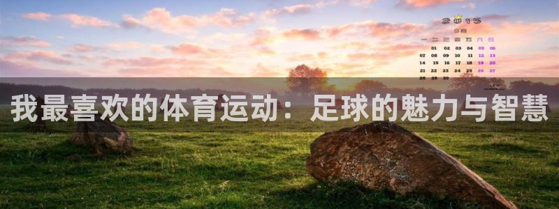 3377体育是正规平台吗：我最喜欢的体育运动：足球的魅力与智慧